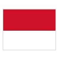 Vlag rood & wit 0.50m x  0.75m