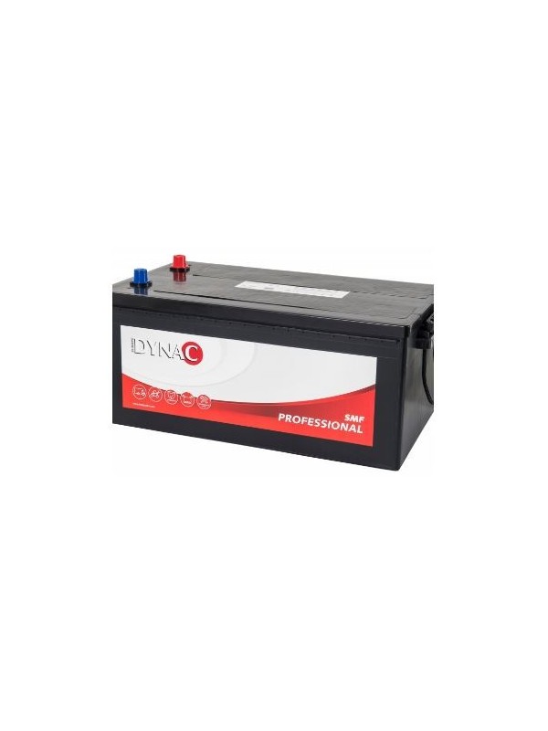 Batterie 12V Pro Energy 230Ah demarrage Dynac Professional SHD 73011