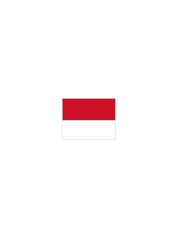 Reclame zonne Luchtvaartmaatschappijen Vlag rood & wit 0.70m x 1.00m